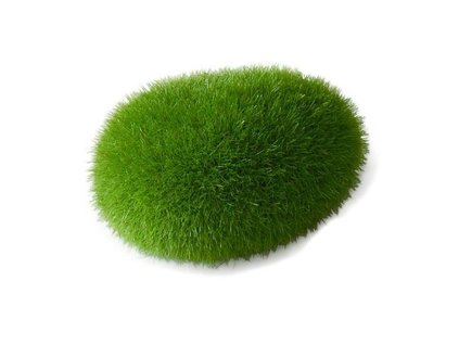Aquarium decoration Moss Aqua Della Duvo+ 6 x 4.5 x 3.5 cm