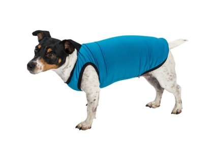 Clothes - Thermo Tank Top "Severka" turquoise 70 cm