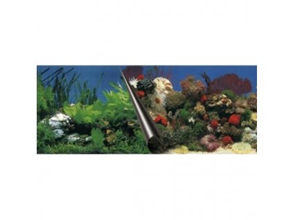 Aquarium background Stone+Coral EBI 60 x 30 cm