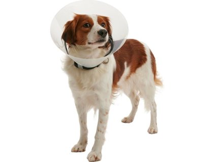 Buster collar - clic collar 30cm 273486