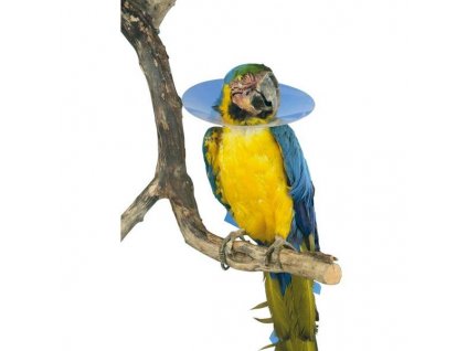 Golier Buster pre vtáky 80mm 273375