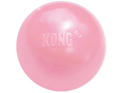 Rubber Puppy Ball Toy KONG M/L