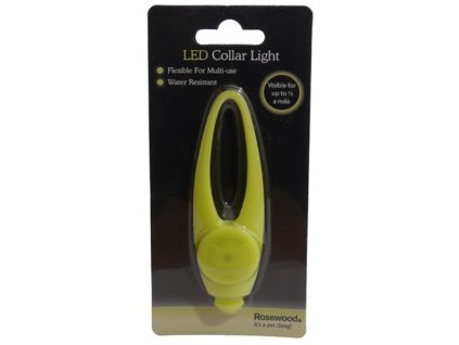 Pandantiv din silicon, luminos, L RW