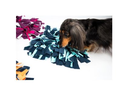 Sniffing rug 30x30 mix of colors