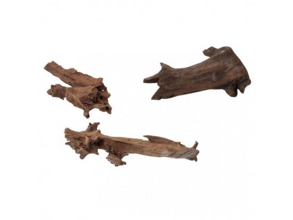 Természetes dekoráció - fagyökér AquaDella 15-25cm