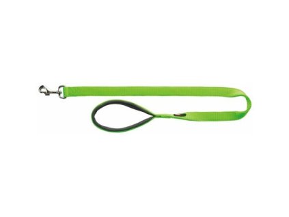Lesa PREMIUM cu maner captusit - verde deschis