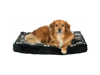 Rectangular pillow JIMMY black with paws