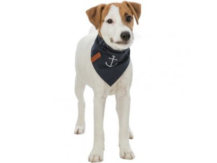 BE NORDIC neckerchief, navy blue with anchor