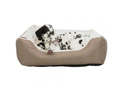 c2ced2ce57a19f4c0ee29cab34c948b0