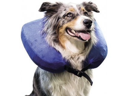 Nobby inflatable protective collar 41-53 cm