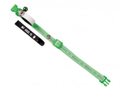 Nobby My Boss green cat collar with name tag