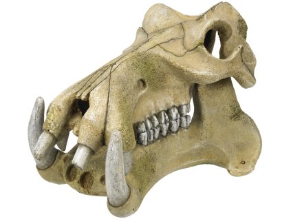 Decor acvariu Nobby Craniu de hipopotam 23,2 x 17 x 14,8 cm  + 3% SLEVA se Slevovým kupónem: bonus