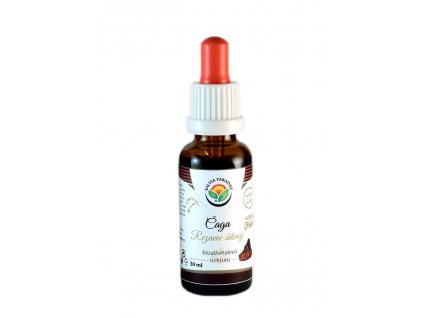 Chaga - Rezavec oblique AF tincture