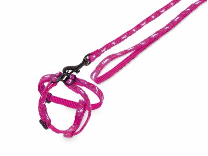 Nobby Carrot purple harness and leash for rabbit