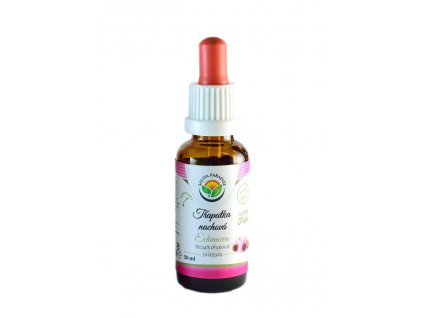 Echinacea - Purple coneflower AF tincture