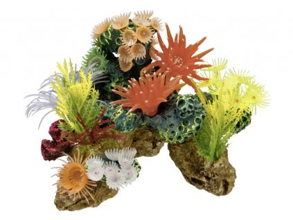 Piatra de coral Nobby cu plante, decor acvariu  + 3% SLEVA se Slevovým kupónem: bonus