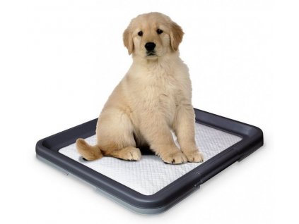 Nobby Doggy Trainer L plastic toilet on pads for puppies 62.5 x 48 x 3.8 cm