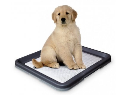 Nobby Doggy Trainer L plastové WC na podložky pro štěňata 62,5 x 48 x 3,8 cm  + 3% SLEVA se Slevovým kupónem: bonus