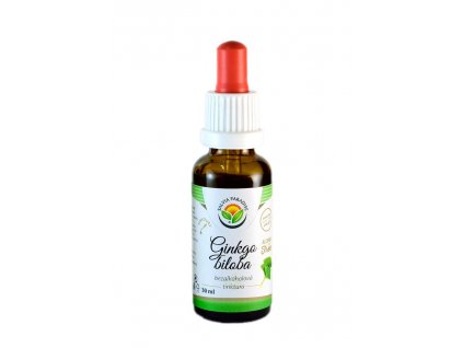 Ginkgo biloba AF tincture