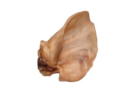 f32a7f1cb9d1354f84ff803524002c16