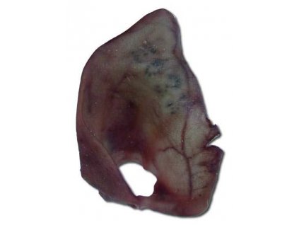 Ureche de porc CZ VANZARE LA PACHET (50 buc)