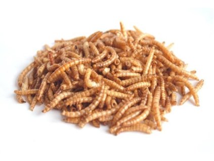 viermi de făină JUKO, cutie de 500 ml (80g)