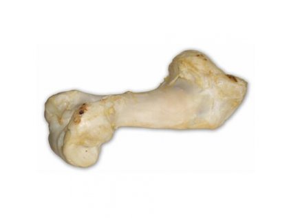 e8ee51f89a207c3a7ae57e2566a3ae32