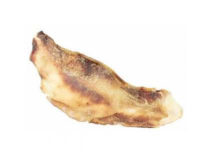 2ac21ce4fdbea41b26032311733cb3da