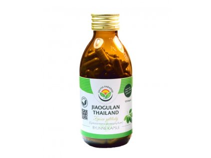 Jiaogulan Thailand kapsule