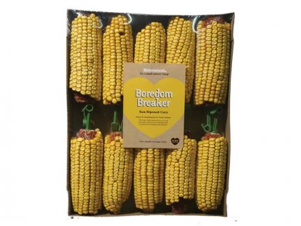 Rosewood Corn Cobs display 10 pcs