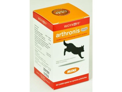 Arthronis Akut mini 60 Tabletten