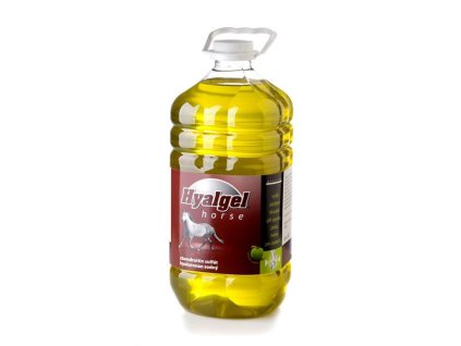 Hyalgel Koński Jabłko 5l