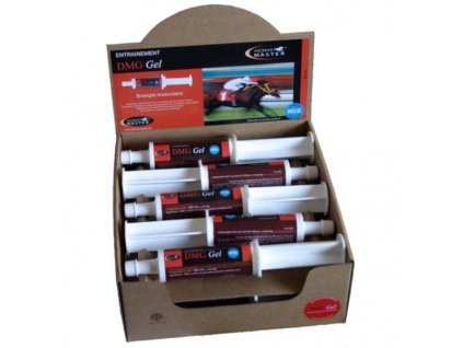 Horse Master DMG żel 60 ml