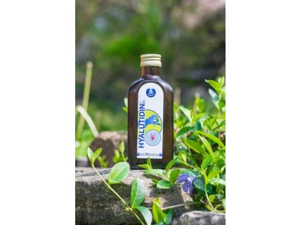 Hyalutidin DC ACTIV für Hunde und Katzen 2x125ml
