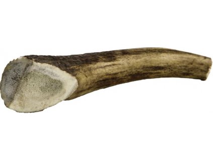 Hirschgeweih Midi 80-100g