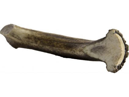 Hirschgeweih Maxi 140-160g