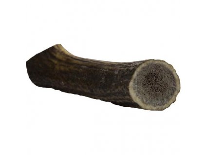 Jelenie parohy gigant 180-230g