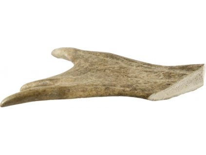 Fallow deer antler midi 80-100g