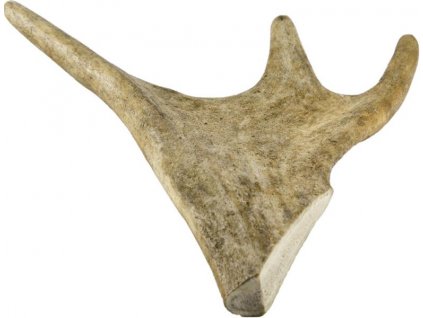 Fallow deer antler maxi 140-160g