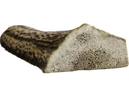 Deer antler, split, mini, 40-60g