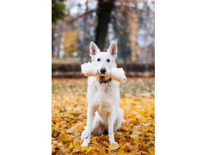 Nod bivol natural 33 cm PetsUp