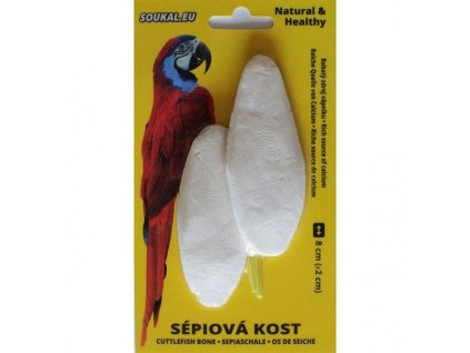 Sépiová kost na kartě 8cm, 2ks