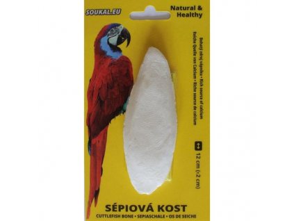 Sépiová kost na kartě 12cm, 1ks