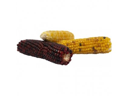 Mix de găleți pentru mini știuleți de porumb DuvoPlus 240 g