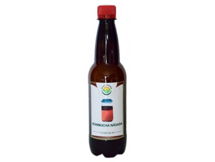 Kombucha potion