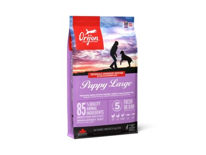 ORIJEN CATELU MARE 11,4 kg