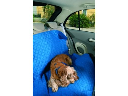 WALKY CAR PROTECTION 80x140 cm