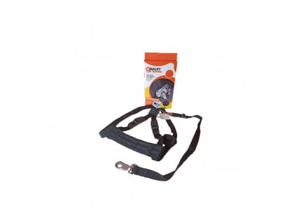WALKY SEAT BELT WITH 2IN1 WIDTH