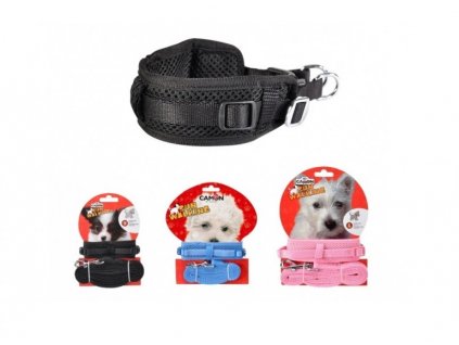 ADJUSTABLE COLLAR WITH LEASH