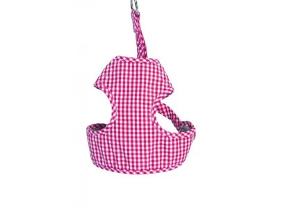 HARNESS WITH LEASH 1.5x120 cm